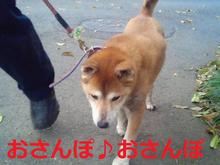 �N���b�N�Ŋg��